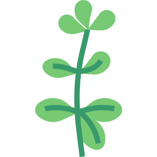 Orégano