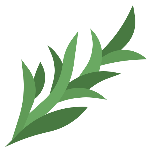 Alecrim
